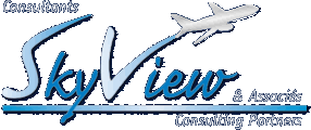 SkyView Consulting Partners